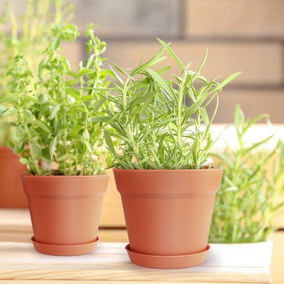 Pots for Plants, 15 Pack 6 Inch Plastic Planters with Multiple Drainage Holes an - Picture 7 of 7